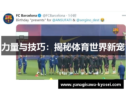力量与技巧：揭秘体育世界新宠