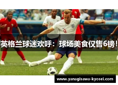 英格兰球迷欢呼：球场美食仅售6镑！